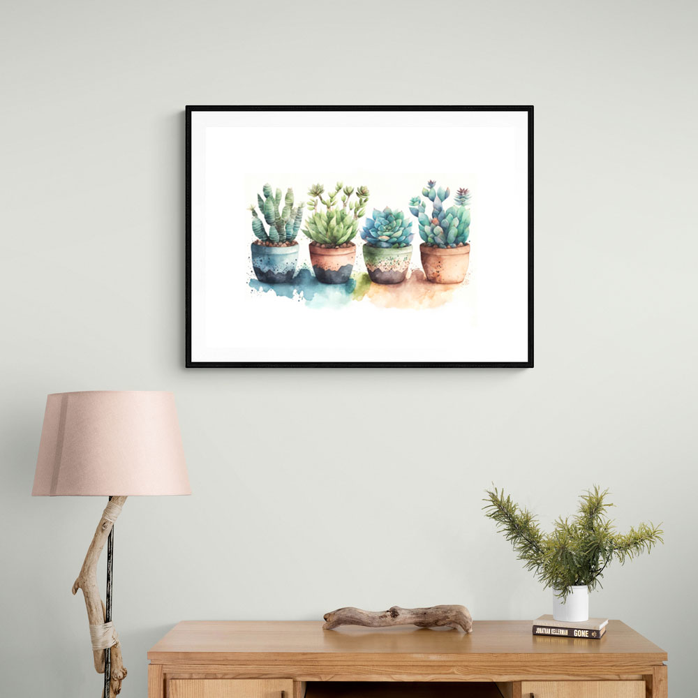 Colorful Succulents Colorful Succulents