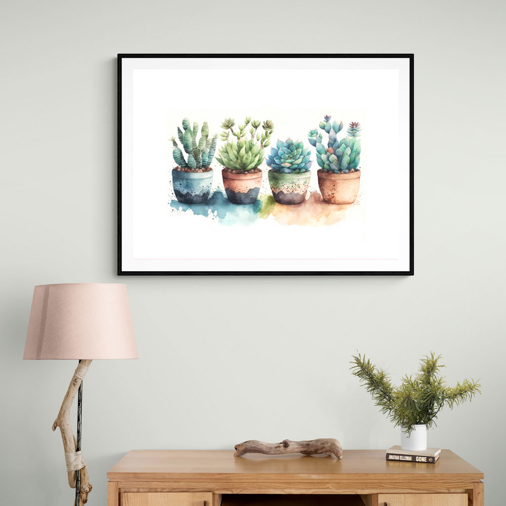Colorful Succulents Colorful Succulents