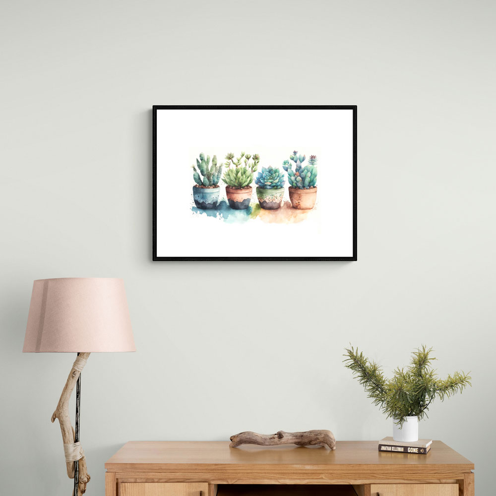 Colorful Succulents Colorful Succulents