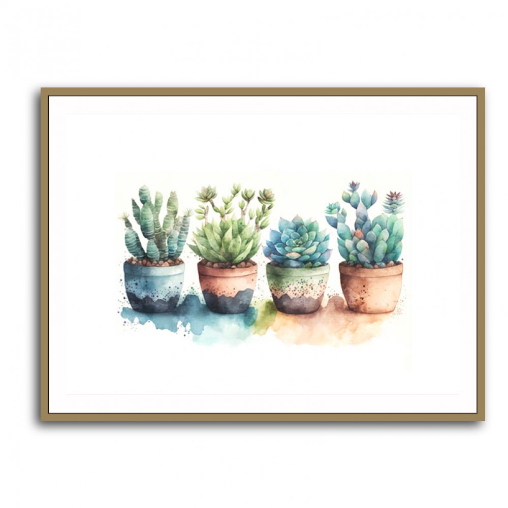 Colorful Succulents Colorful Succulents