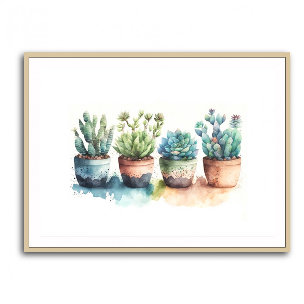 Colorful Succulents Colorful Succulents