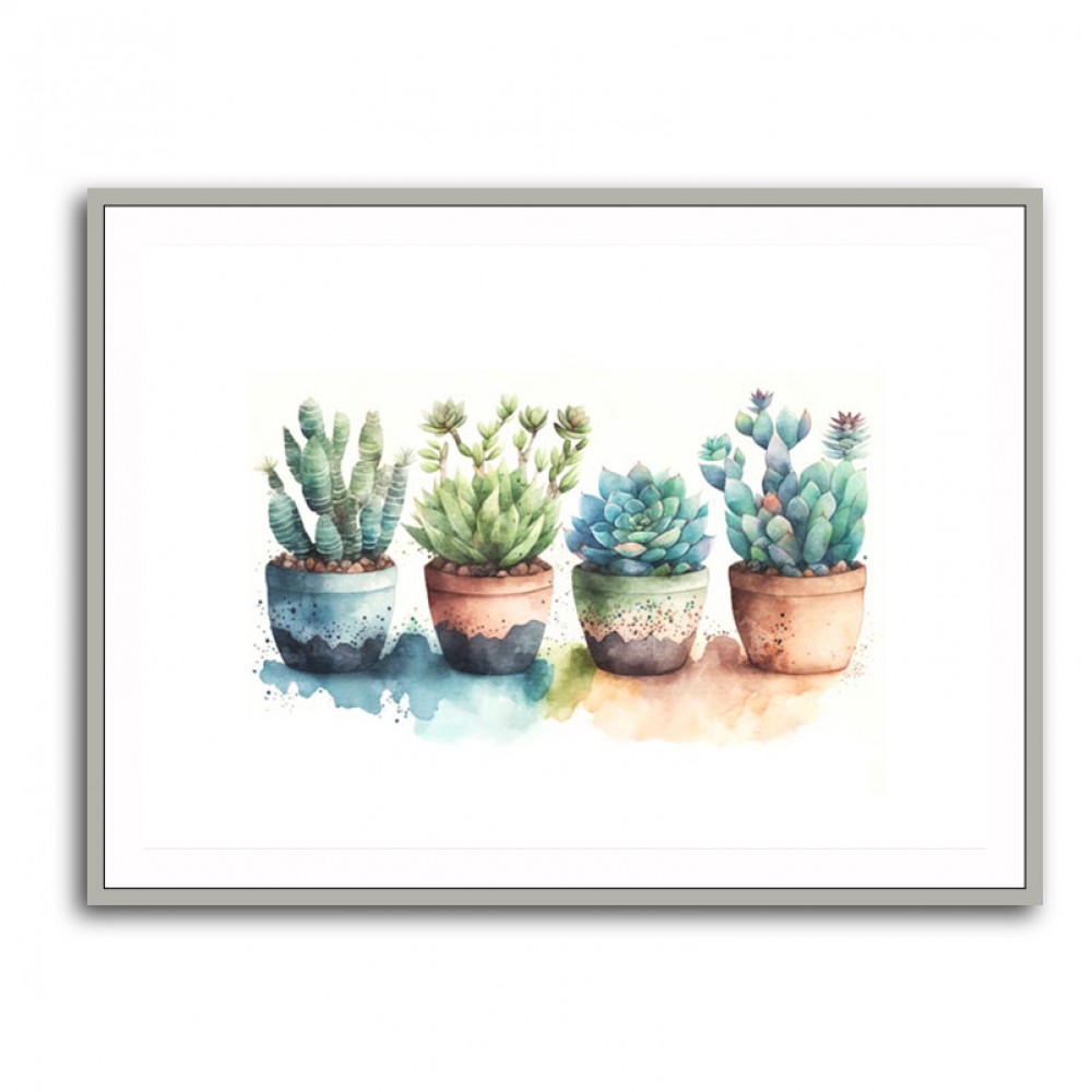 Colorful Succulents Colorful Succulents