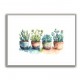 Colorful Succulents Colorful Succulents