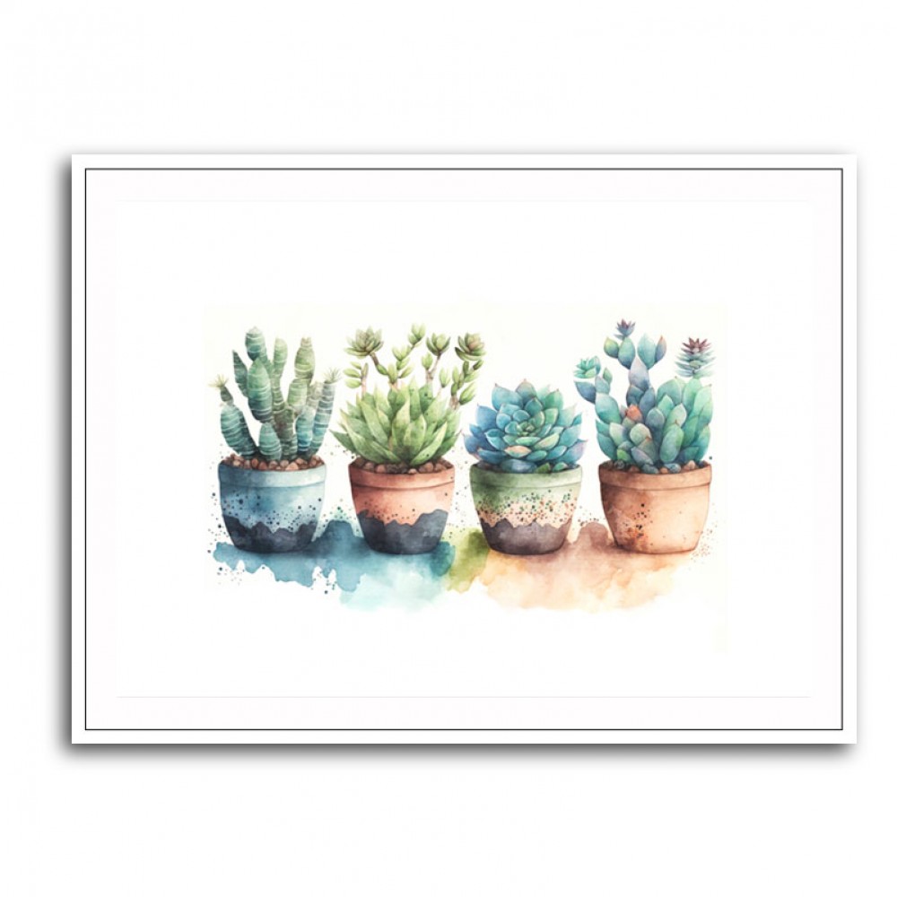 Colorful Succulents Colorful Succulents
