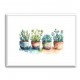 Colorful Succulents Colorful Succulents