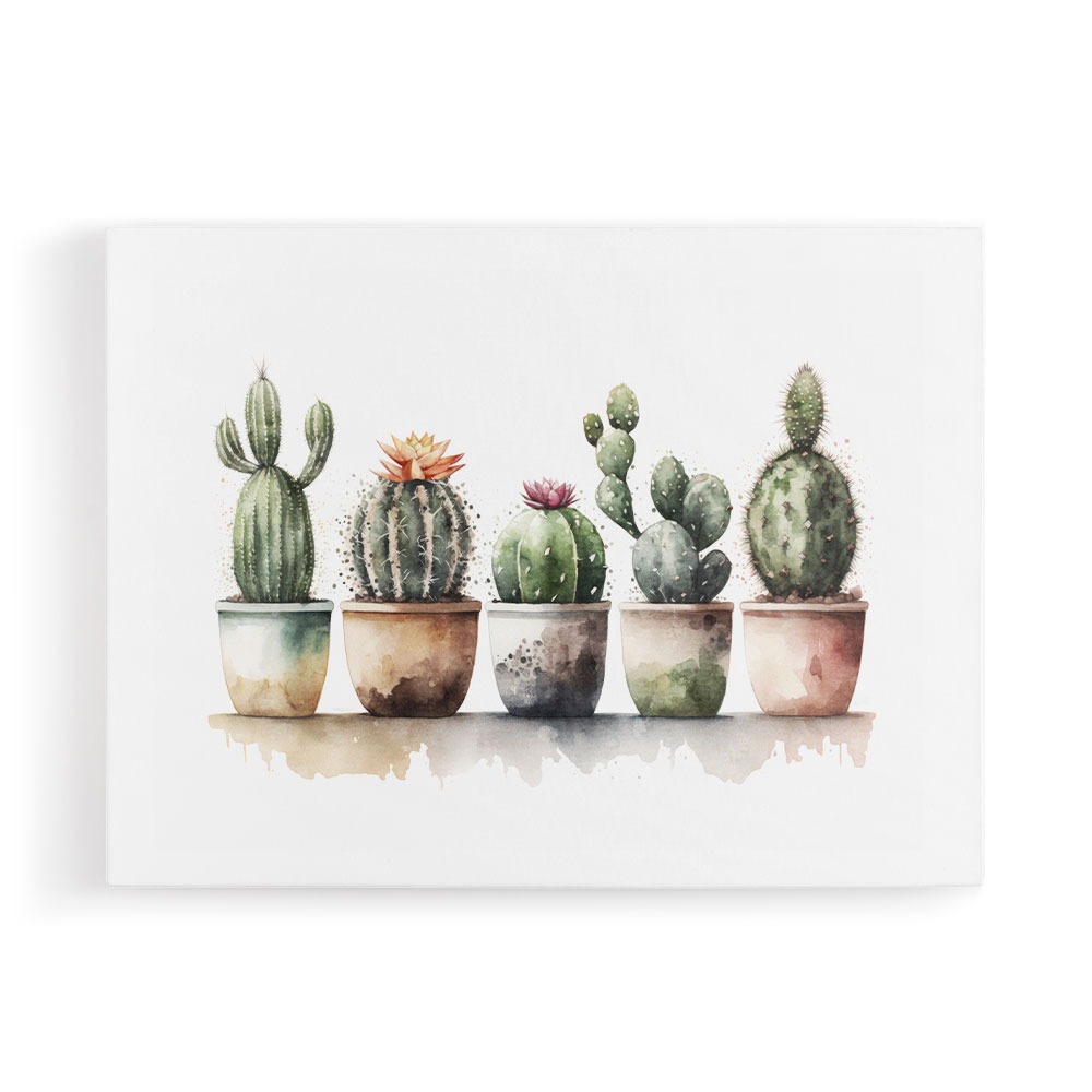 Flowering Cacti