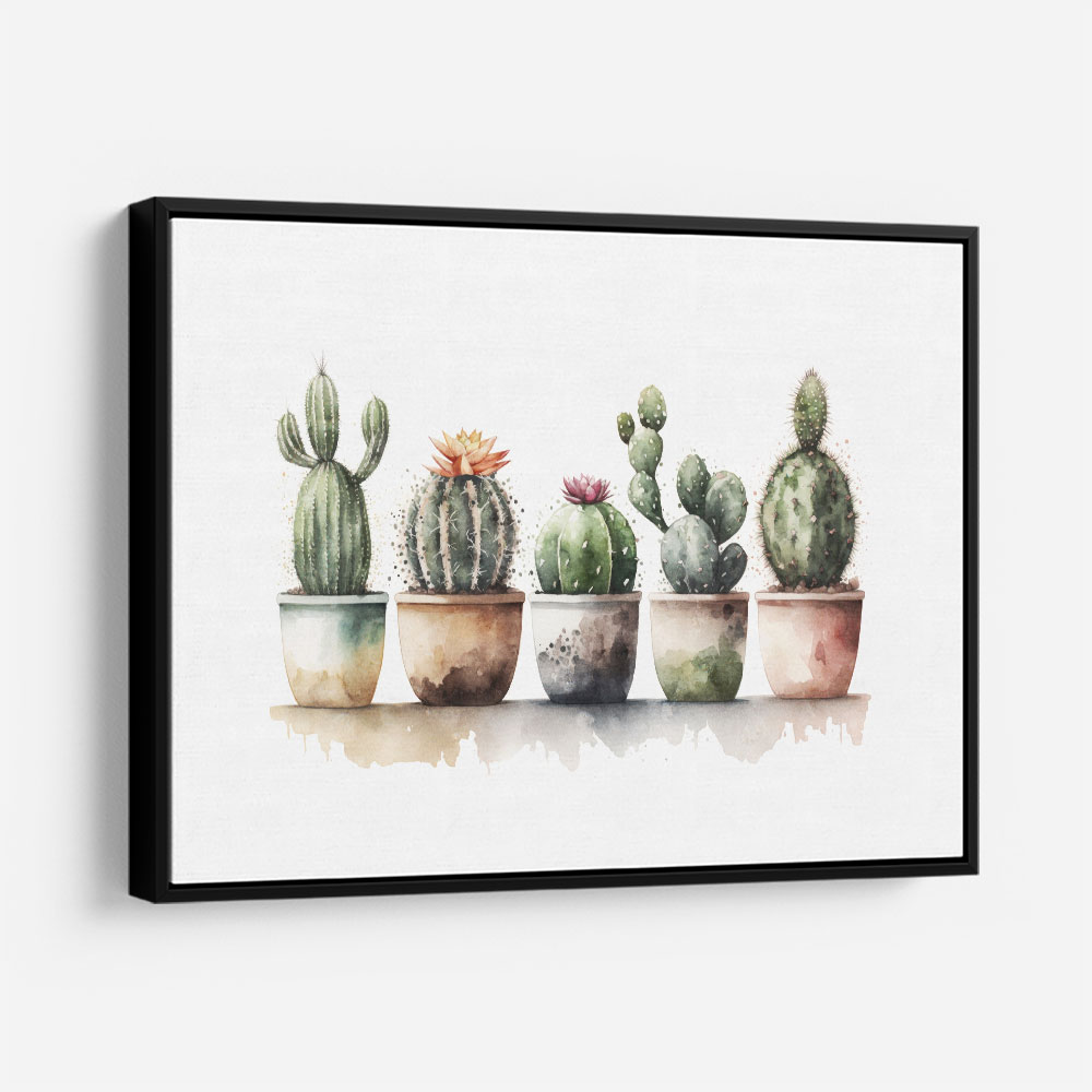 Flowering Cacti