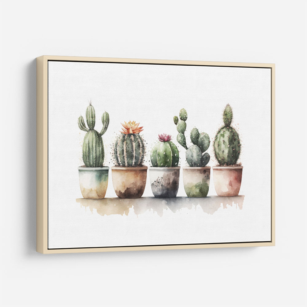 Flowering Cacti