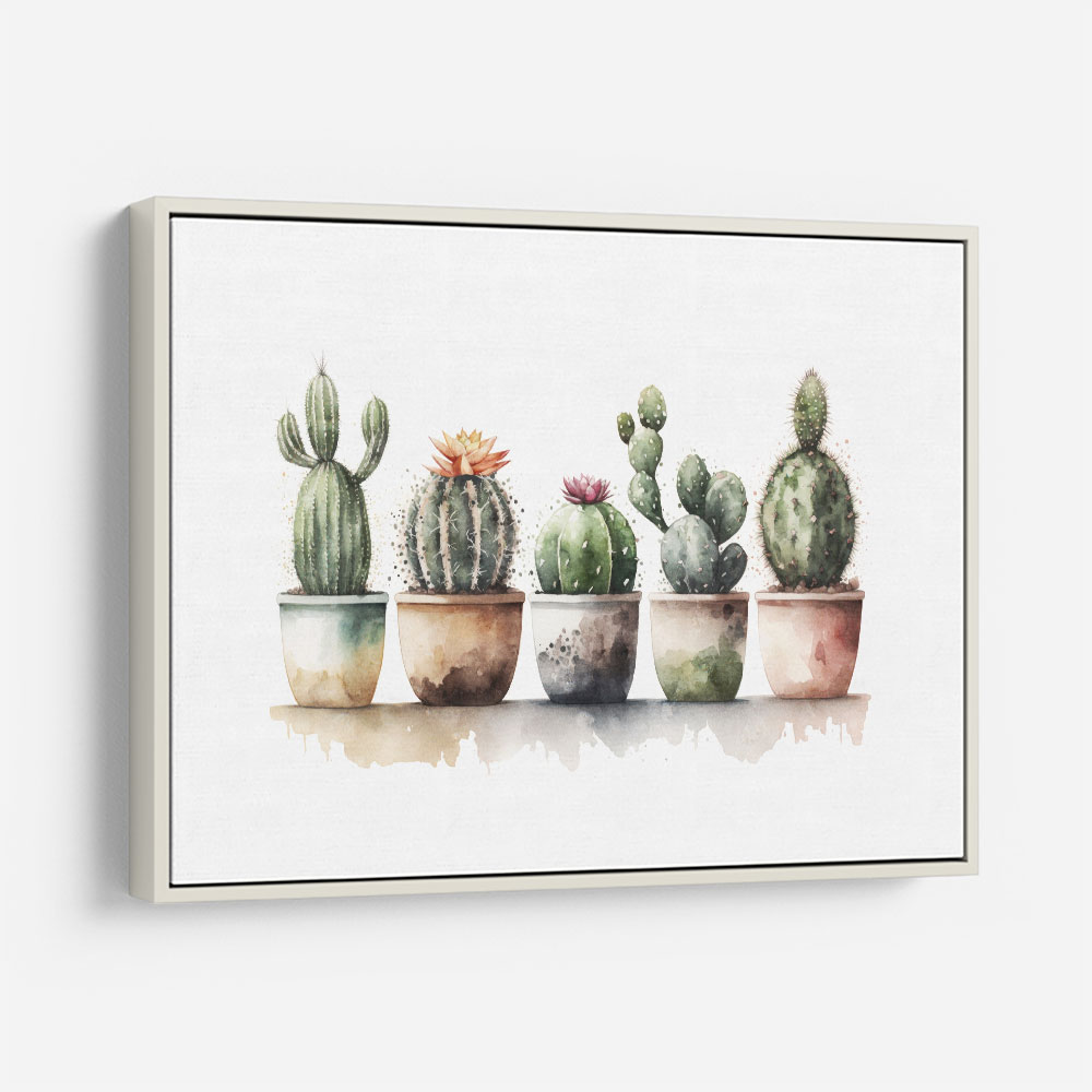 Flowering Cacti