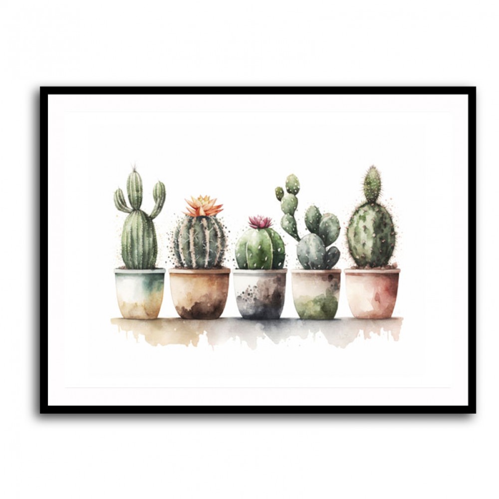 Flowering Cacti