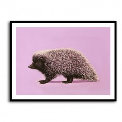 Porcupine Pink