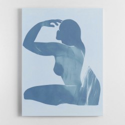 Graceful Shadows