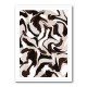 White Beige Brown Pattern White Beige Brown Pattern