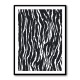 Zebra Pattern Zebra Pattern