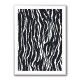 Zebra Pattern Zebra Pattern