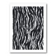 Zebra Pattern Zebra Pattern