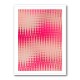 Pink Blurred Pattern Pink Blurred Pattern