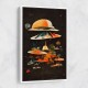 Flying Saucers Flying Saucers