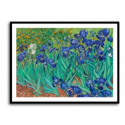 Irises (1889)