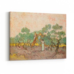 Women Picking Olives (1889)