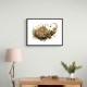 Abstract Calligraphy Buildings Wall Art Abstract Calligraphy Buildings Wall Art