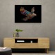 Abstract style Falcon Colourful Arabic calligraphy art 3 Abstract style Falcon Colourful Arabic calligraphy art 3
