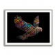 Abstract style Falcon Colourful Arabic calligraphy art 3 Abstract style Falcon Colourful Arabic calligraphy art 3