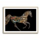 Horse Calligraphy Art Colourful 