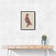 Abstract style Falcon Arabic calligraphy wall art 3 Abstract style Falcon Arabic calligraphy wall art 3