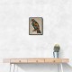 Abstract style Falcon Arabic calligraphy wall art 4 Abstract style Falcon Arabic calligraphy wall art 4