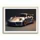 911 GT2 RS Wall Art