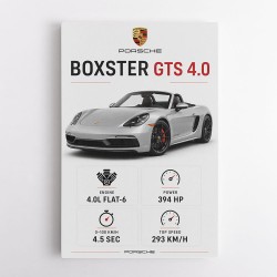 Porsche Boxster GTS 4 Silver Car Wall Art