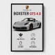 Porsche Boxster GTS 4 Silver Car Wall Art
