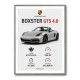 Porsche Boxster GTS 4 Silver Car Wall Art