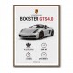 Porsche Boxster GTS 4 Silver Car Wall Art
