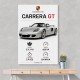 Porsche Carrera GT Silver Specs Art Print