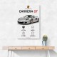 Porsche Carrera GT Silver Specs Art Print