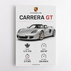 Porsche Carrera GT Silver Specs Art Print
