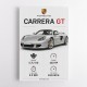 Porsche Carrera GT Silver Specs Art Print
