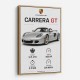 Porsche Carrera GT Silver Specs Art Print