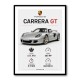 Porsche Carrera GT Silver Specs Art Print