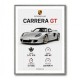 Porsche Carrera GT Silver Specs Art Print