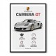 Porsche Carrera GT Silver Specs Art Print