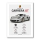 Porsche Carrera GT Silver Specs Art Print