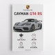 Porsche Cayman GT4 RS Gray Car Art Print