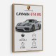 Porsche Cayman GT4 RS Gray Car Art Print