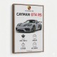 Porsche Cayman GT4 RS Gray Car Art Print