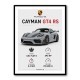 Porsche Cayman GT4 RS Gray Car Art Print
