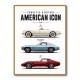 Corvette Performance Evolution  C5 To C8 Z06 Era Art Print