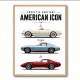 Corvette Performance Evolution  C5 To C8 Z06 Era Art Print
